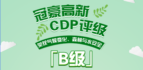 践行绿色责任，引领永续未来！PT电子游戏蝉联CDP“B”级评级，稳居全球可持续发展当先行列